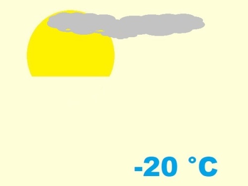 exposition-rusticité de polypodiaceae polypodium cambricum cv. 'whitley giant'