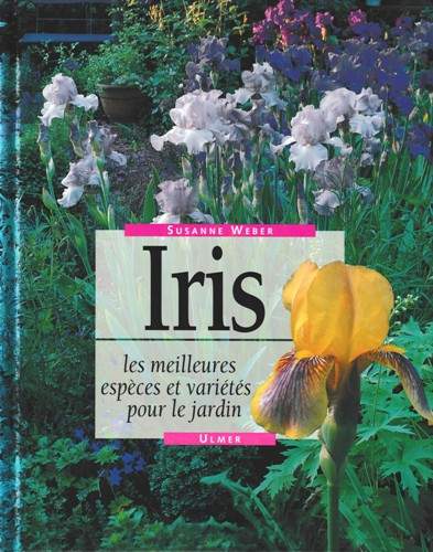cover Iris - les meilleures espèces et variétés pour le jardin