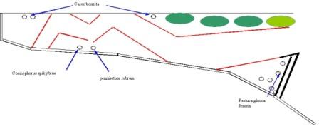 schema du jardin du sud