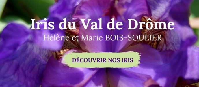 logo iris-duvalde-drome