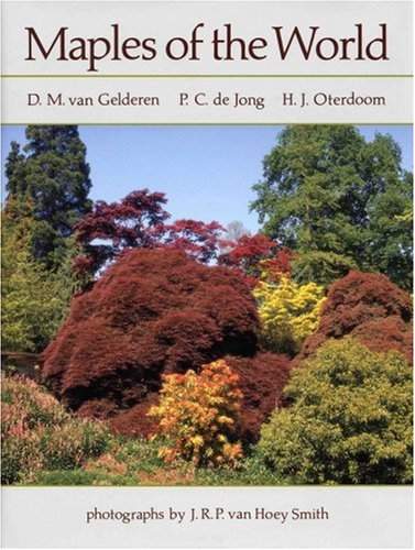cover Maples of the world