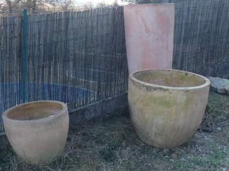 autre photo de l'arrangement