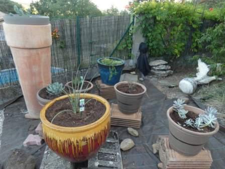 plantation de la source