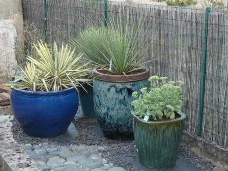 plantation de l'étang