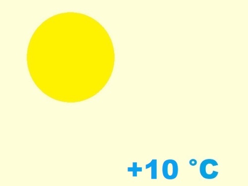 exposition-rusticité de euphorbiaceae euphorbia heptagona