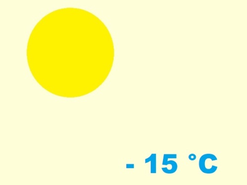 exposition-rusticité de crassulaceae sedum sexangulare