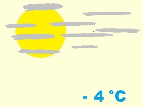 exposition-rusticité de cactaceae notocactus buiningii