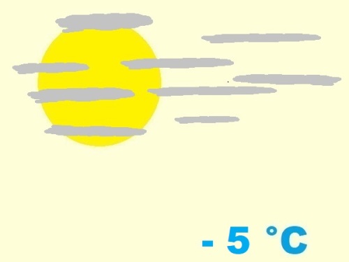 exposition-rusticité de cactaceae weingartia langeri