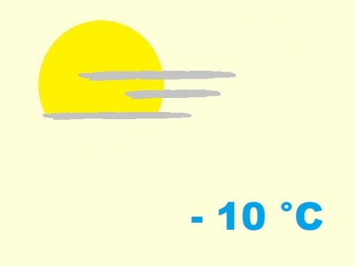 exposition-rusticité de cactaceae trichocereus terscheckii