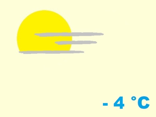 exposition-rusticité de cactaceae Austrocylindropuntia  subulata