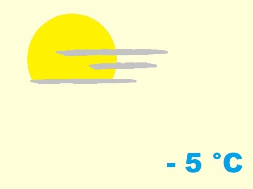 exposition-rusticité de agavaceae agave guadalajarana