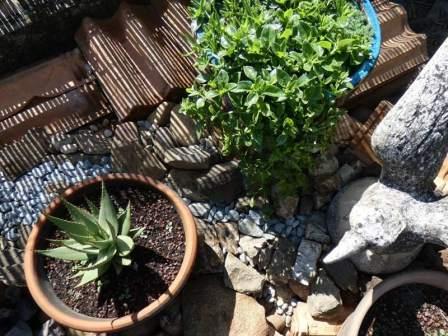 naissance du cours d'eau