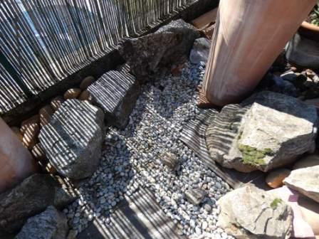 naissance du cours d'eau