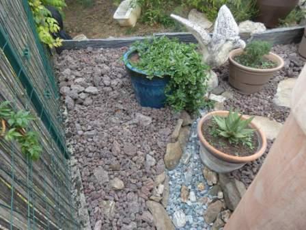 la partie basse dite l'étang la plage des plantes